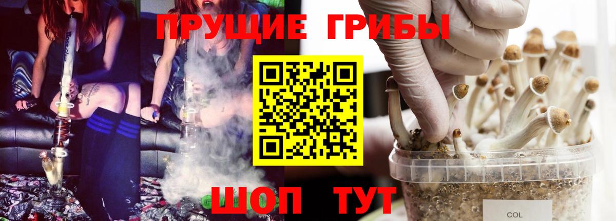 Псилоцибиновые грибы GOLDEN TEACHER Отрадное