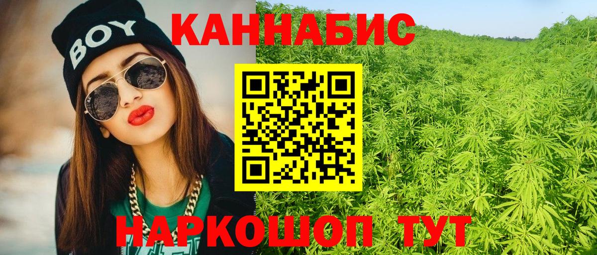 Каннабис сатива Отрадное